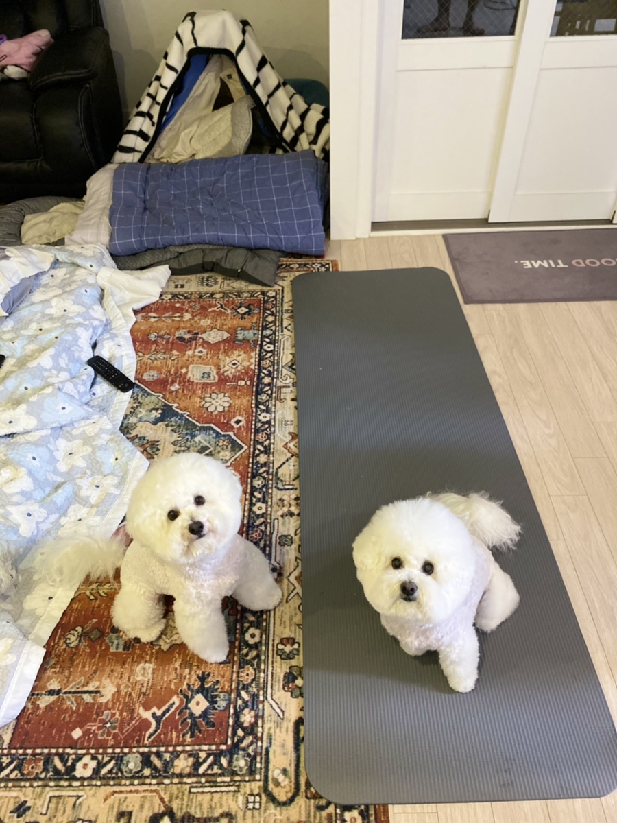 전가네왕족발 이미지