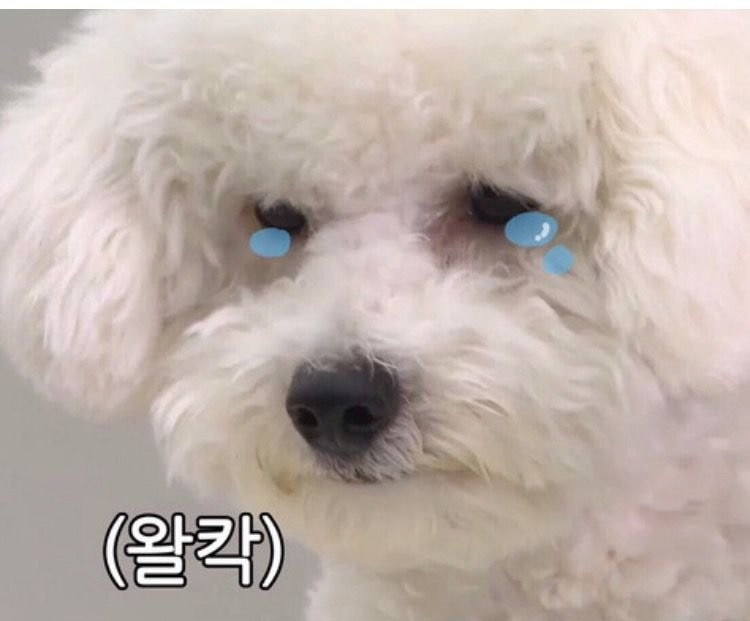 이레김밥 이미지