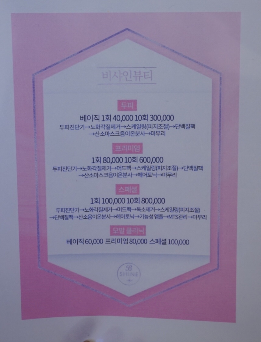 비샤인 이미지