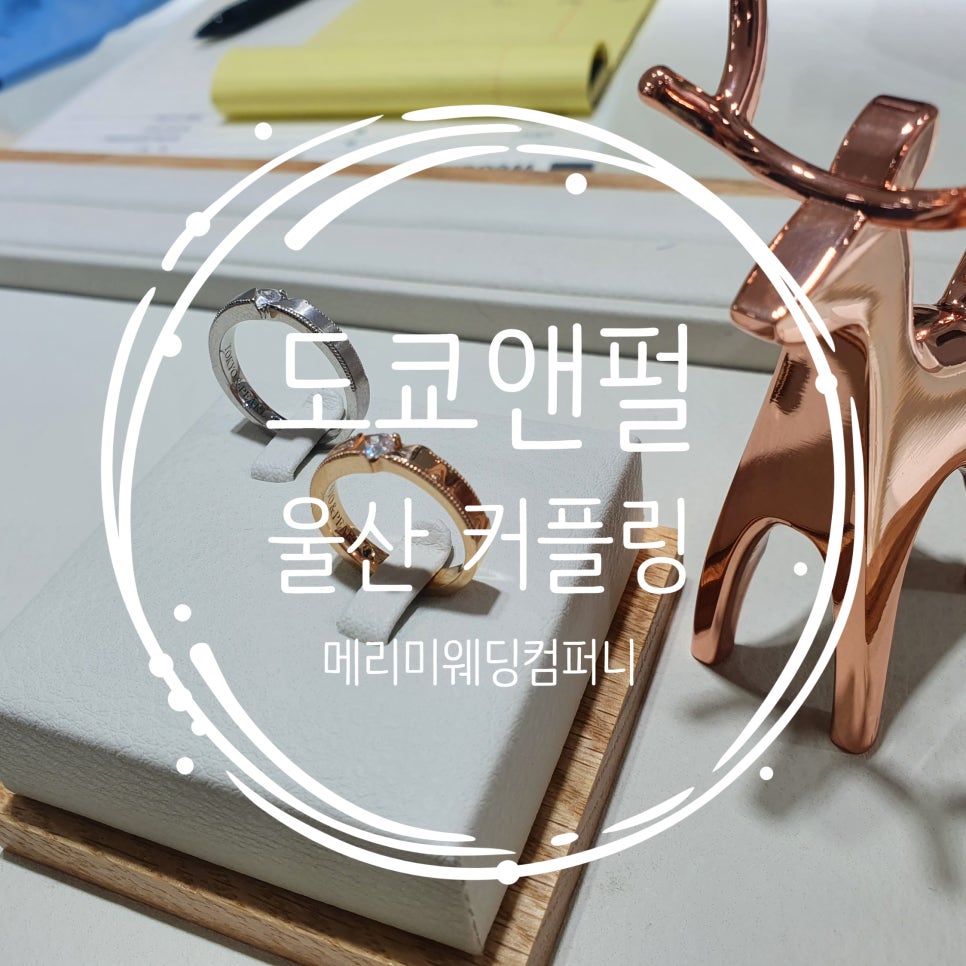 은진컴퍼니 이미지