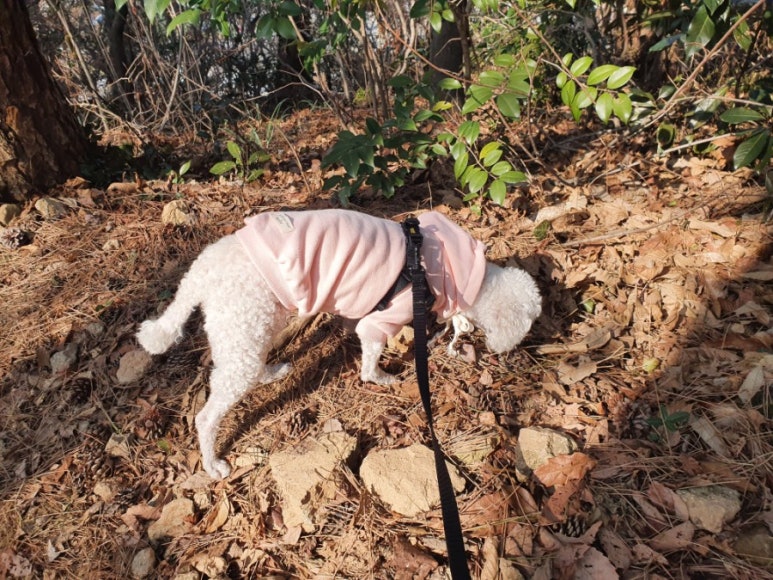 동진자동차정비 이미지