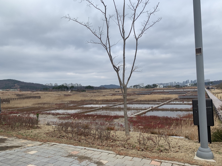 금흥개발 이미지