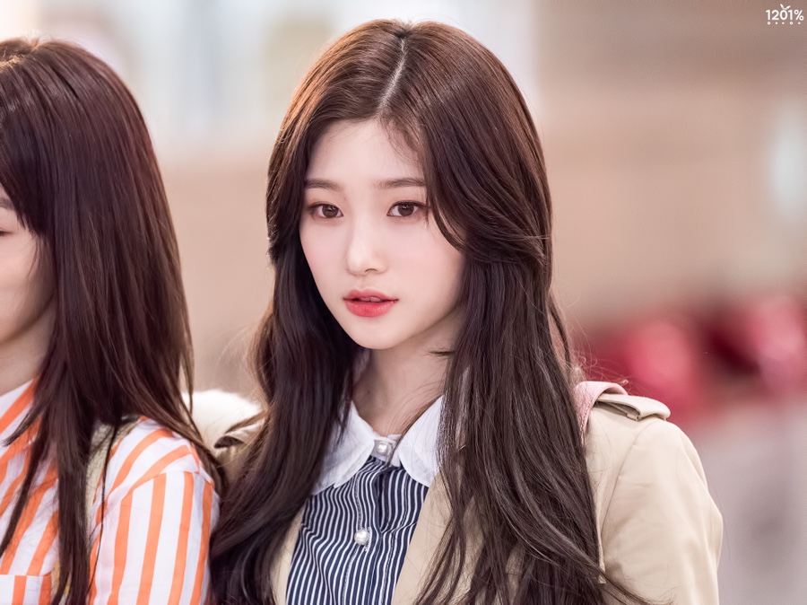 인아웃 이미지