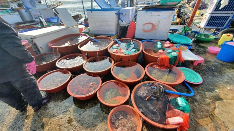 왕고래초밥김밥 이미지