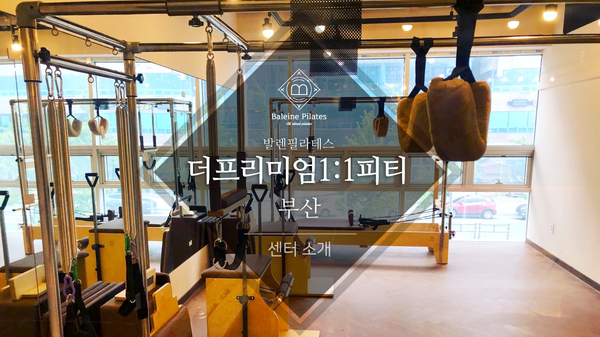 더프리미엄1:1운동센터 이미지
