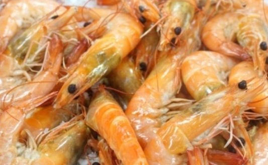 동백수산 이미지