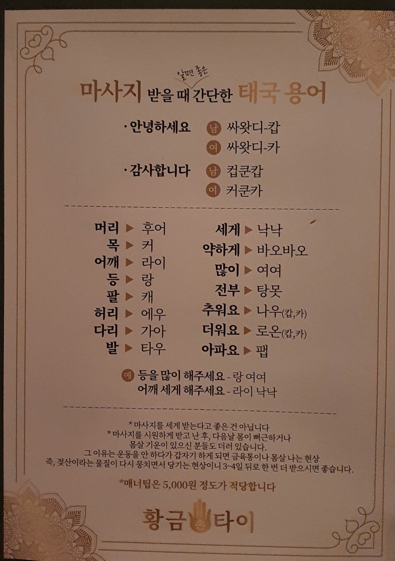 황금손타이 이미지