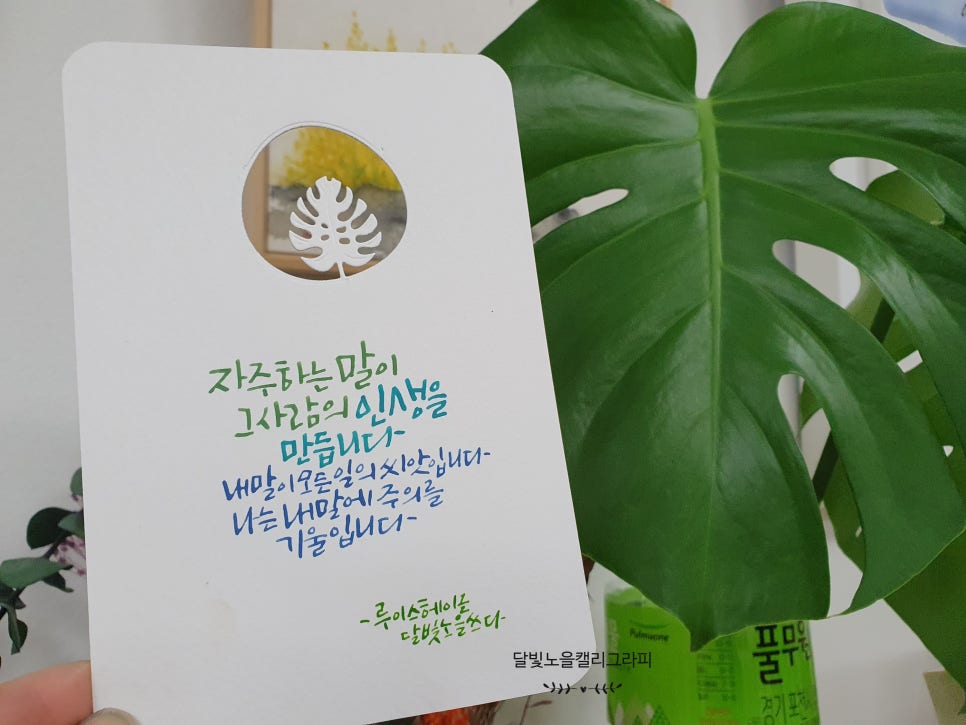 달빛노을캘리그라피디자인 이미지