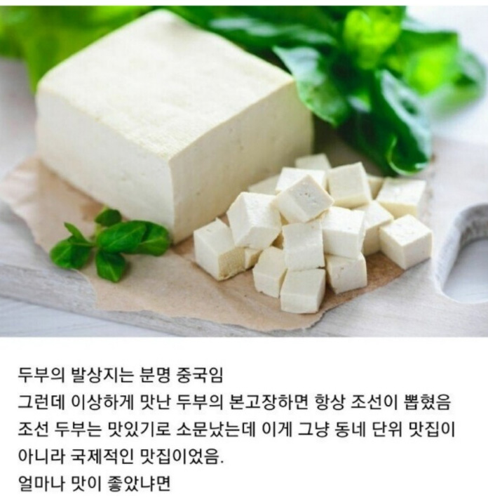 두부나라 이미지