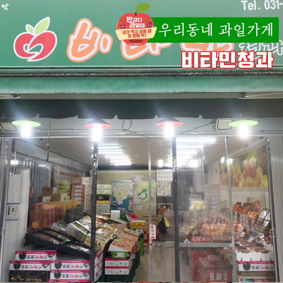 비타민청과 이미지