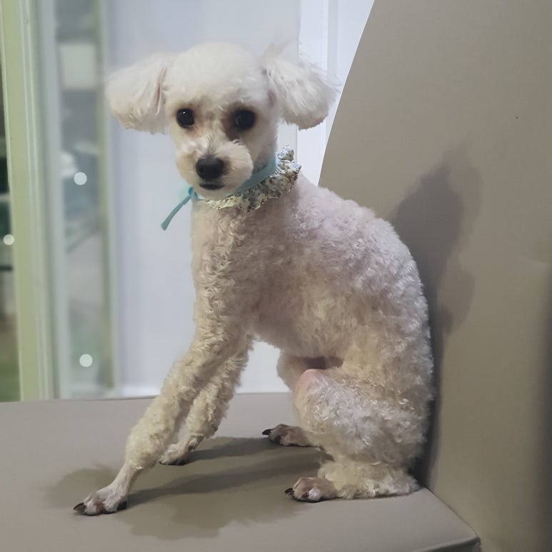 새롬애드 이미지