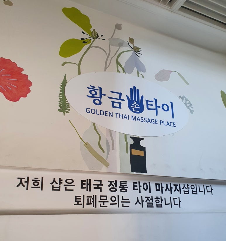황금손타이 이미지