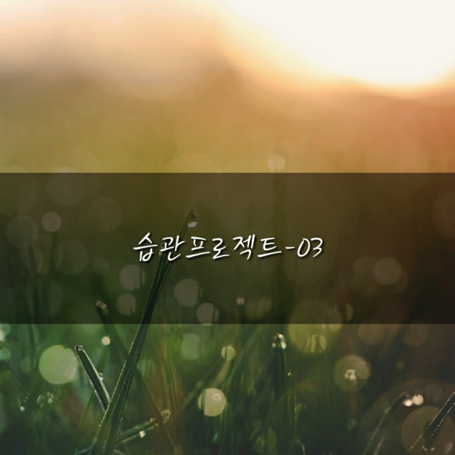 프로젝트22 이미지