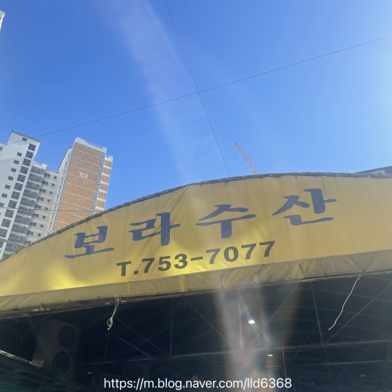 보라수산 이미지
