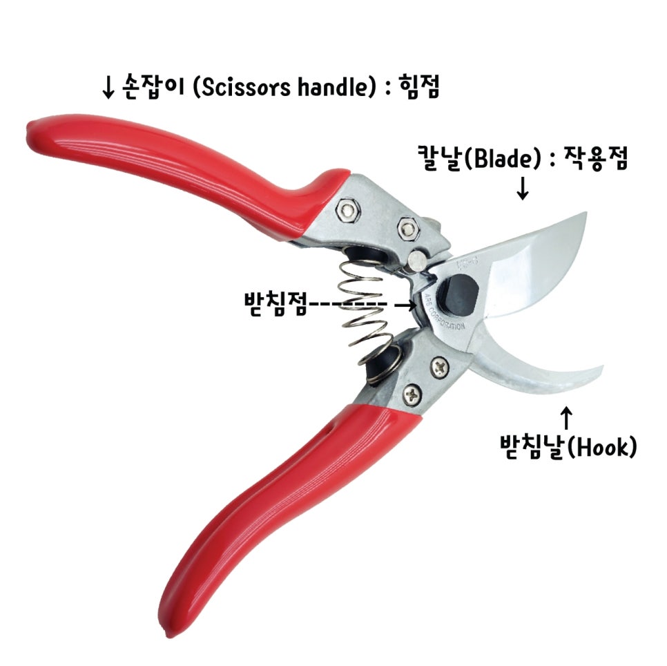 가위숲 이미지