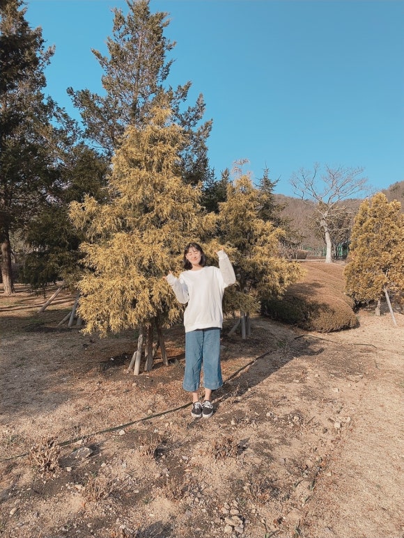연정국수 이미지