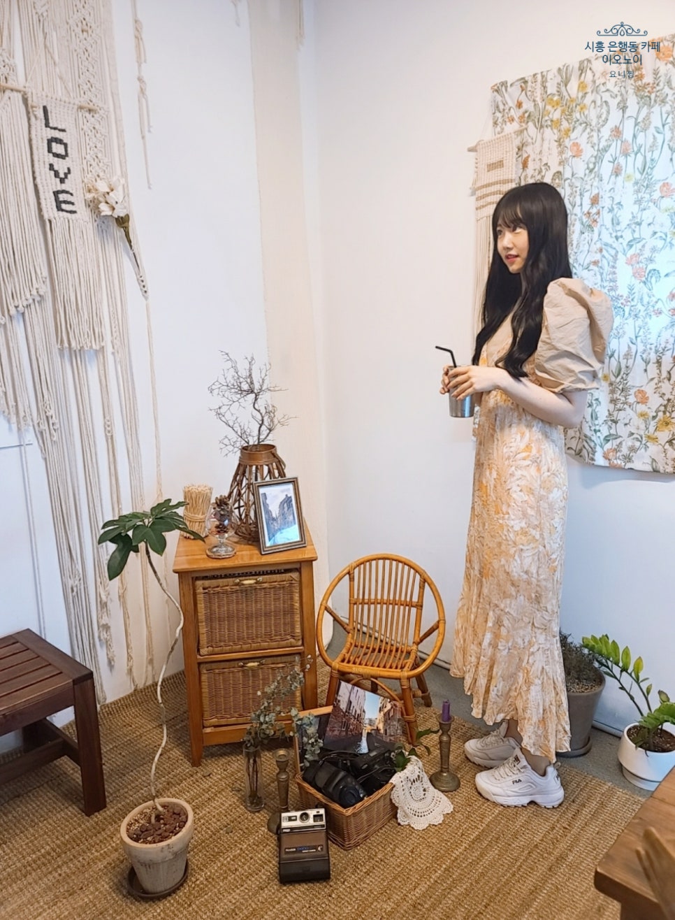 이오노이(ionoi) 이미지