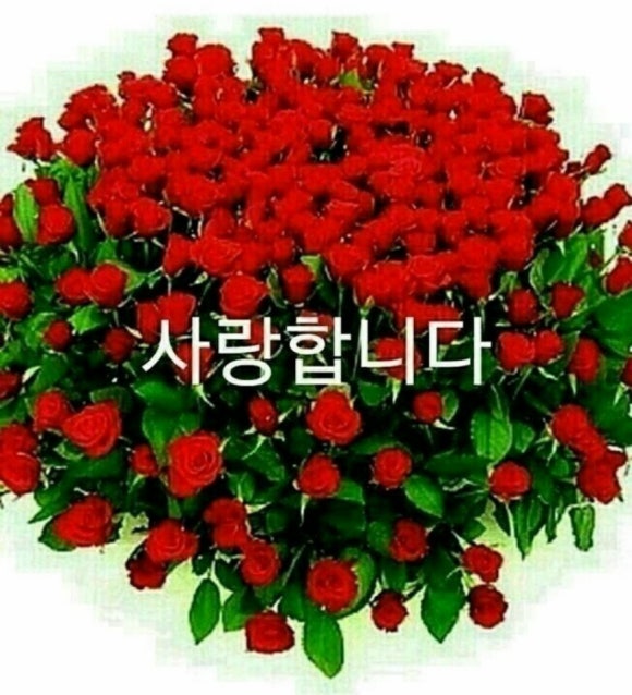 라이딩카페 이미지