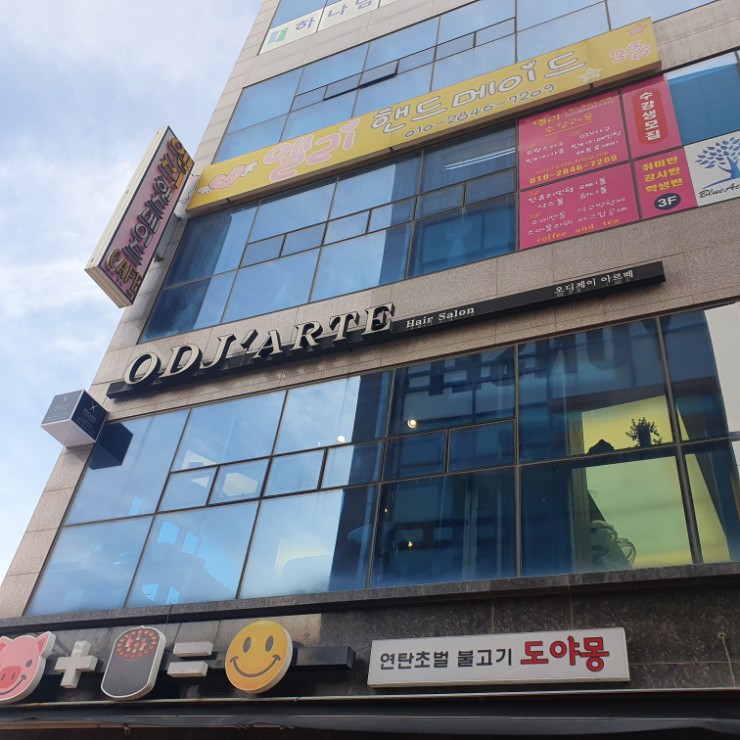 오디제이 이미지