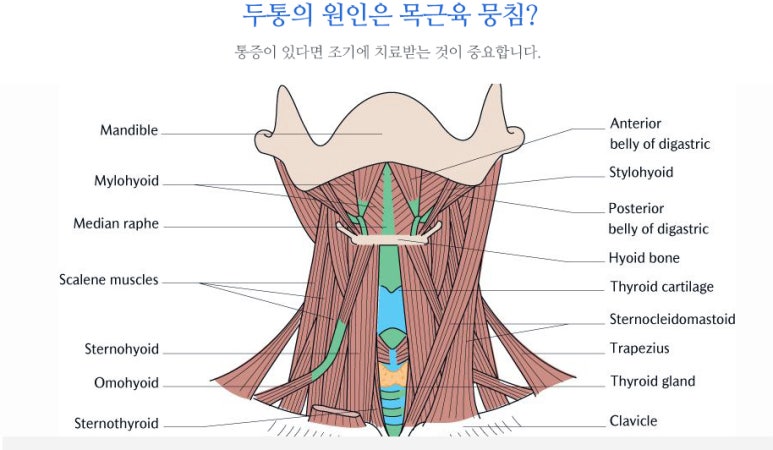 단대오거리정형외과의원 이미지