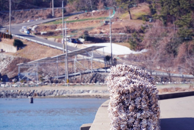 해간도카라반 이미지