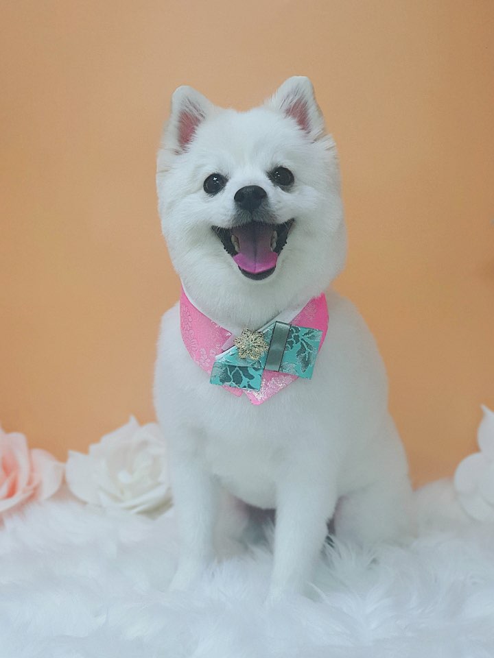 이롭네일 이미지