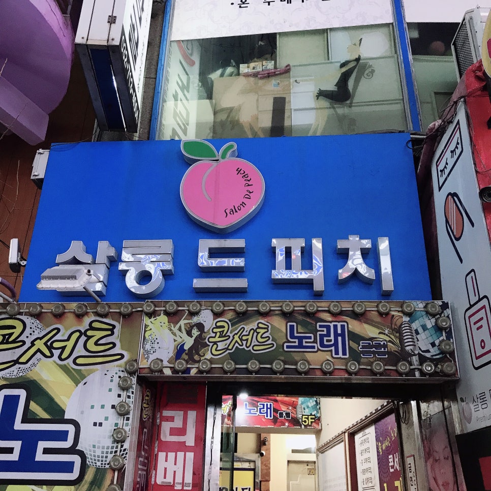 살롱 드 피치 이미지