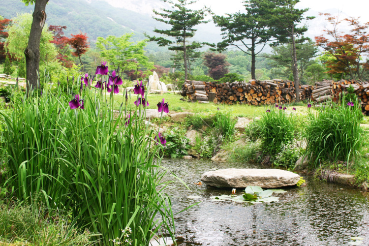 튼튼영어남양주 이미지