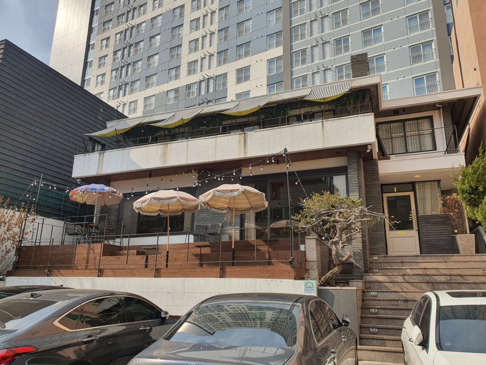 더메리어 이미지