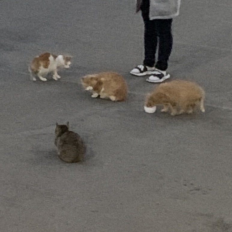 청춘막창남양점 이미지