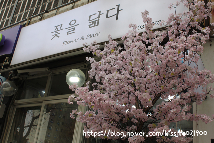 감각만점꽃집 이미지