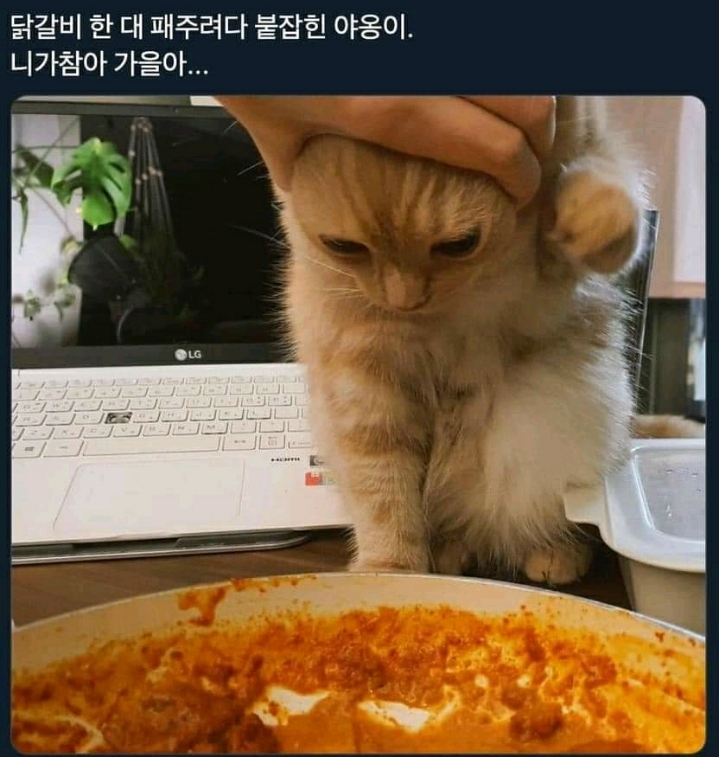 금호그랜드 이미지