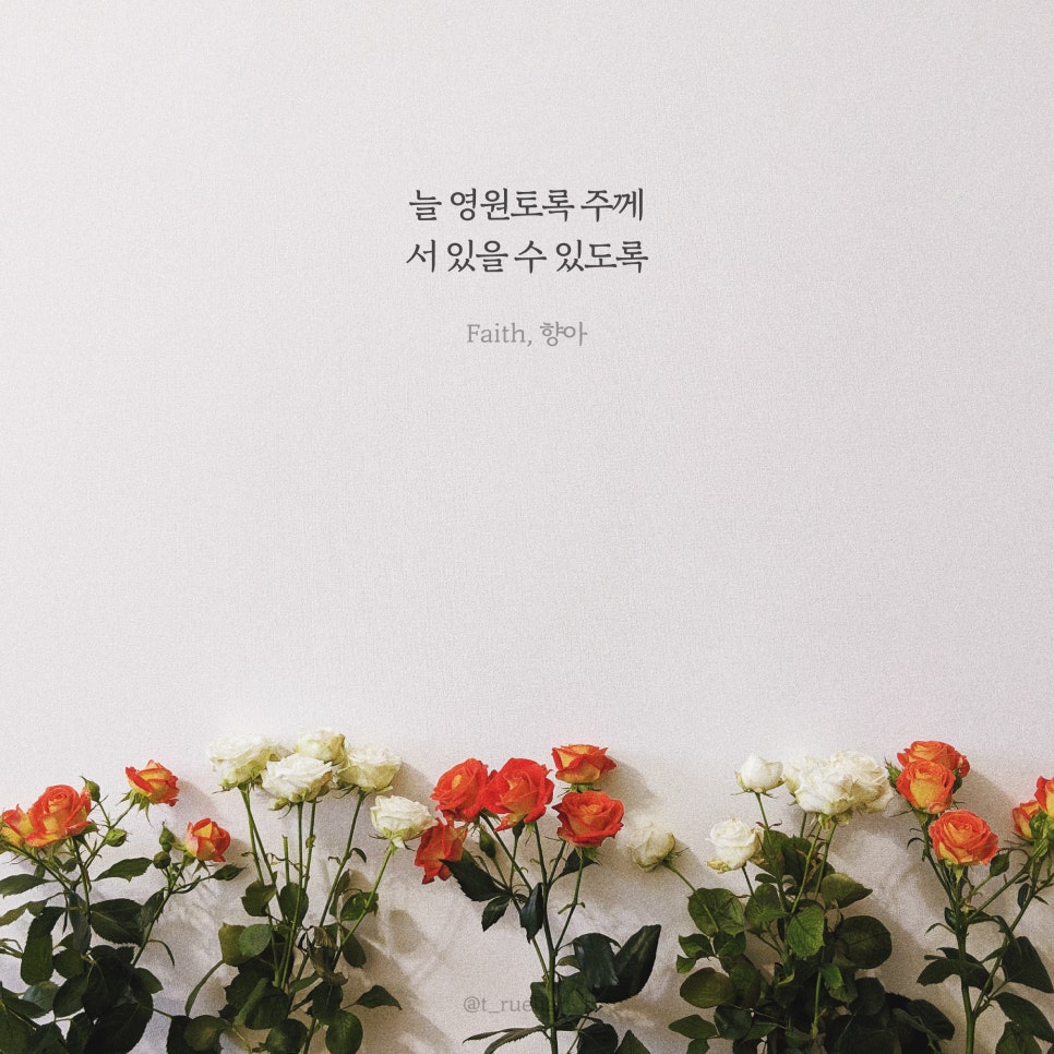 (주)향아 이미지