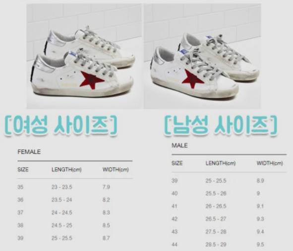 디올.발렌티노 이미지