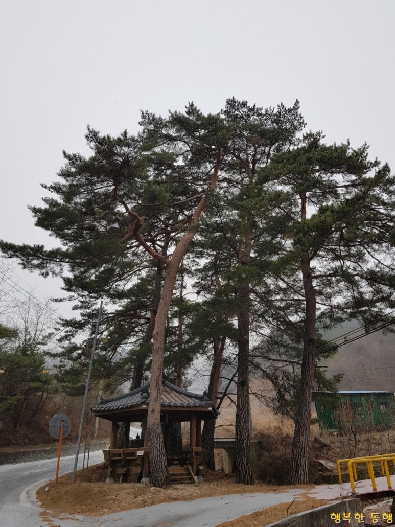 수출동 이미지