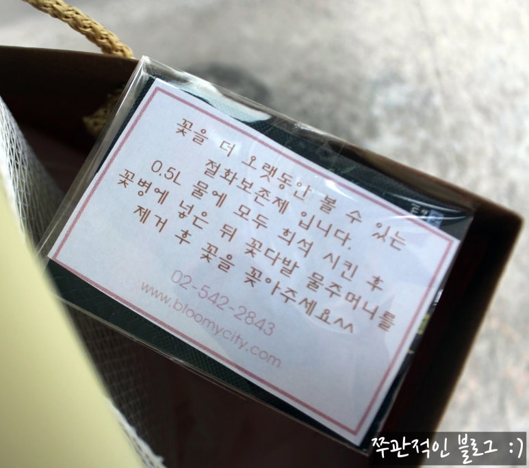 블루미시티 이미지