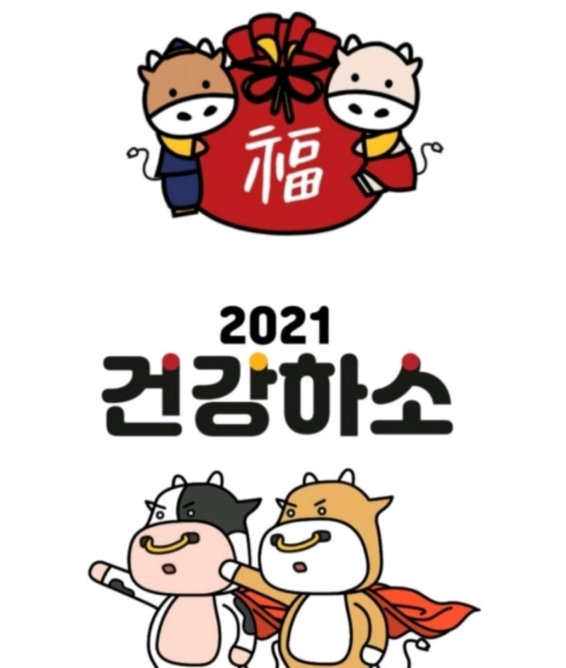 광주범퍼 이미지