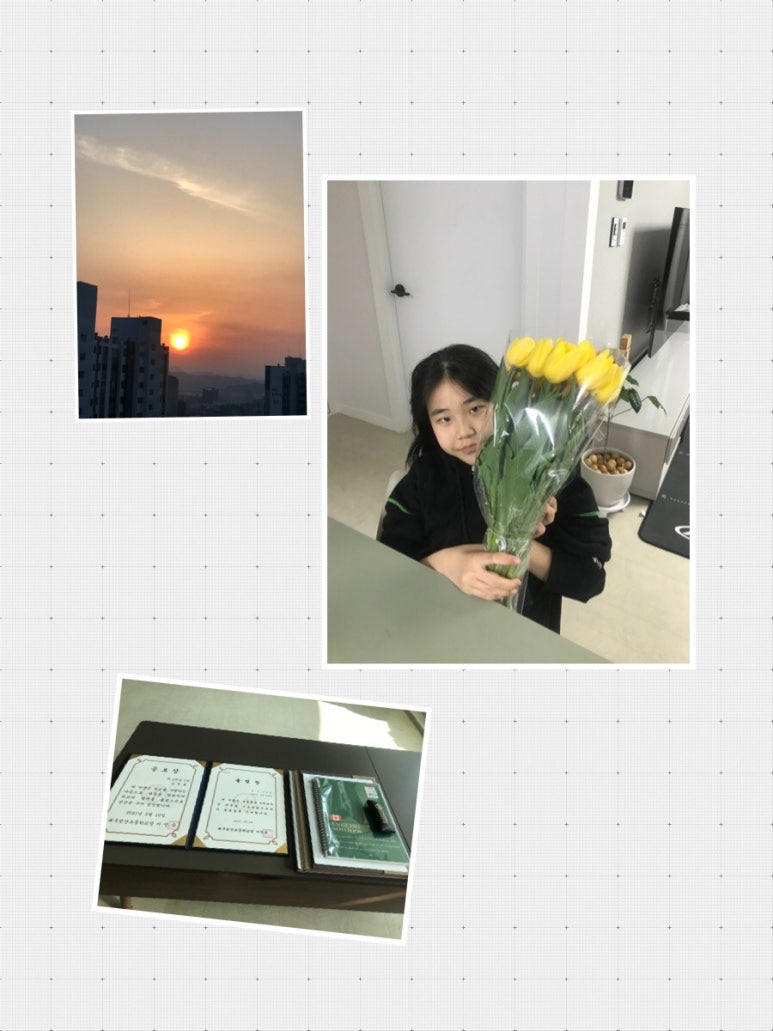 영율 이미지