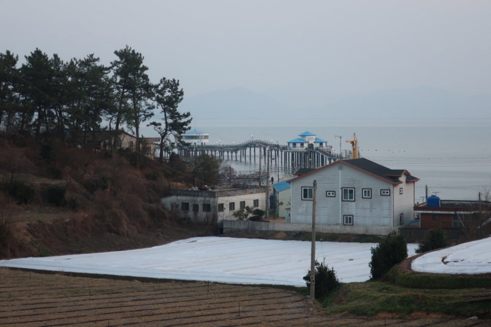 신기낚시 이미지