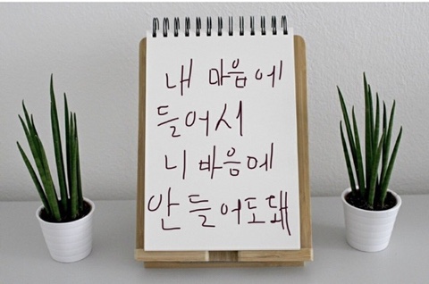 차차유통 이미지
