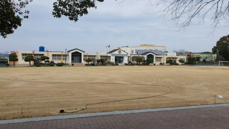 납읍초등학교 이미지