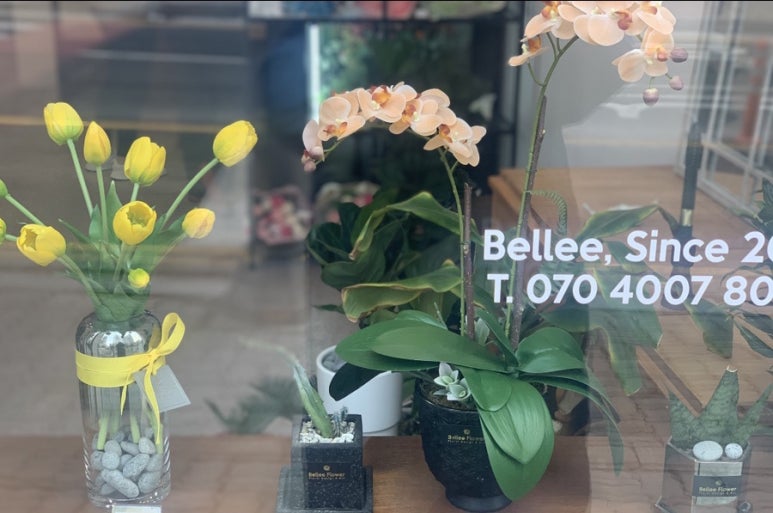 벨르플라워 이미지