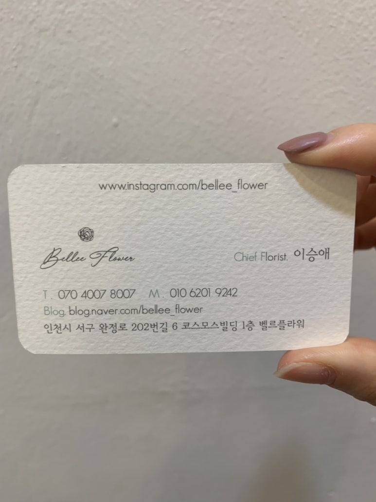 벨르플라워 이미지