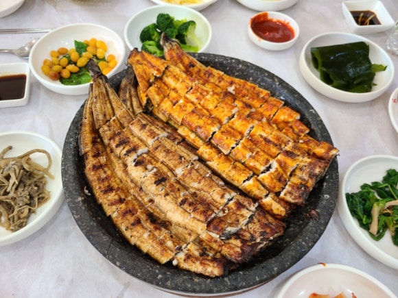 우수영민물장어 이미지