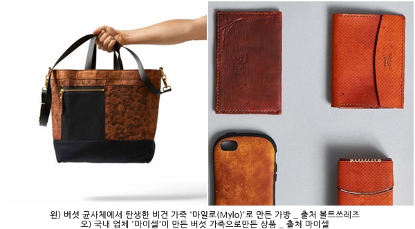 에코패션 이미지