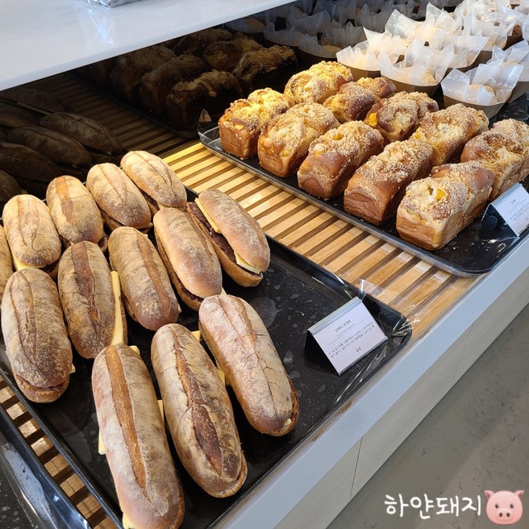 칼튼비즈니스 이미지