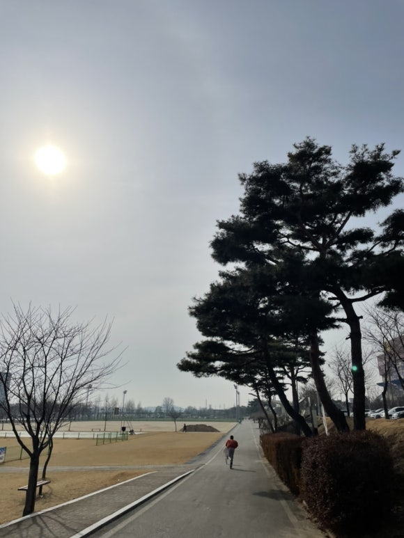 울산산꼼장어 이미지