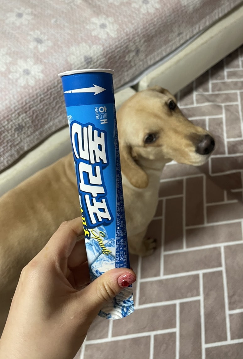 볼원볼링센타 이미지