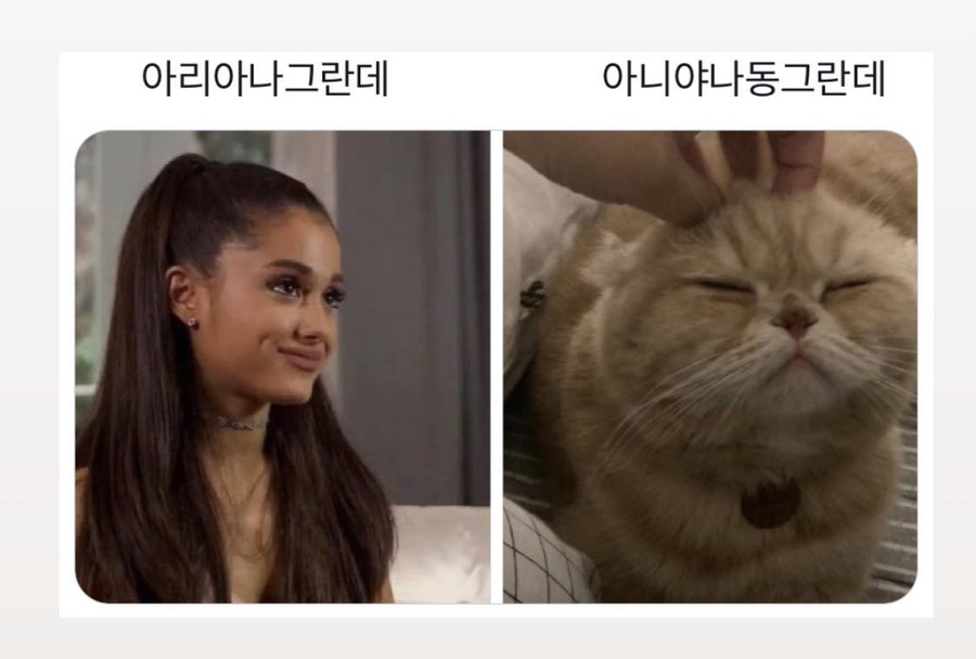 무지개똥 이미지
