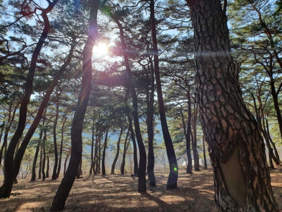 푸른인쇄사 이미지